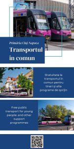 Proiecte Primaria Cluj-Napoca (8)